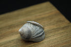 Wire Wrapped Ring