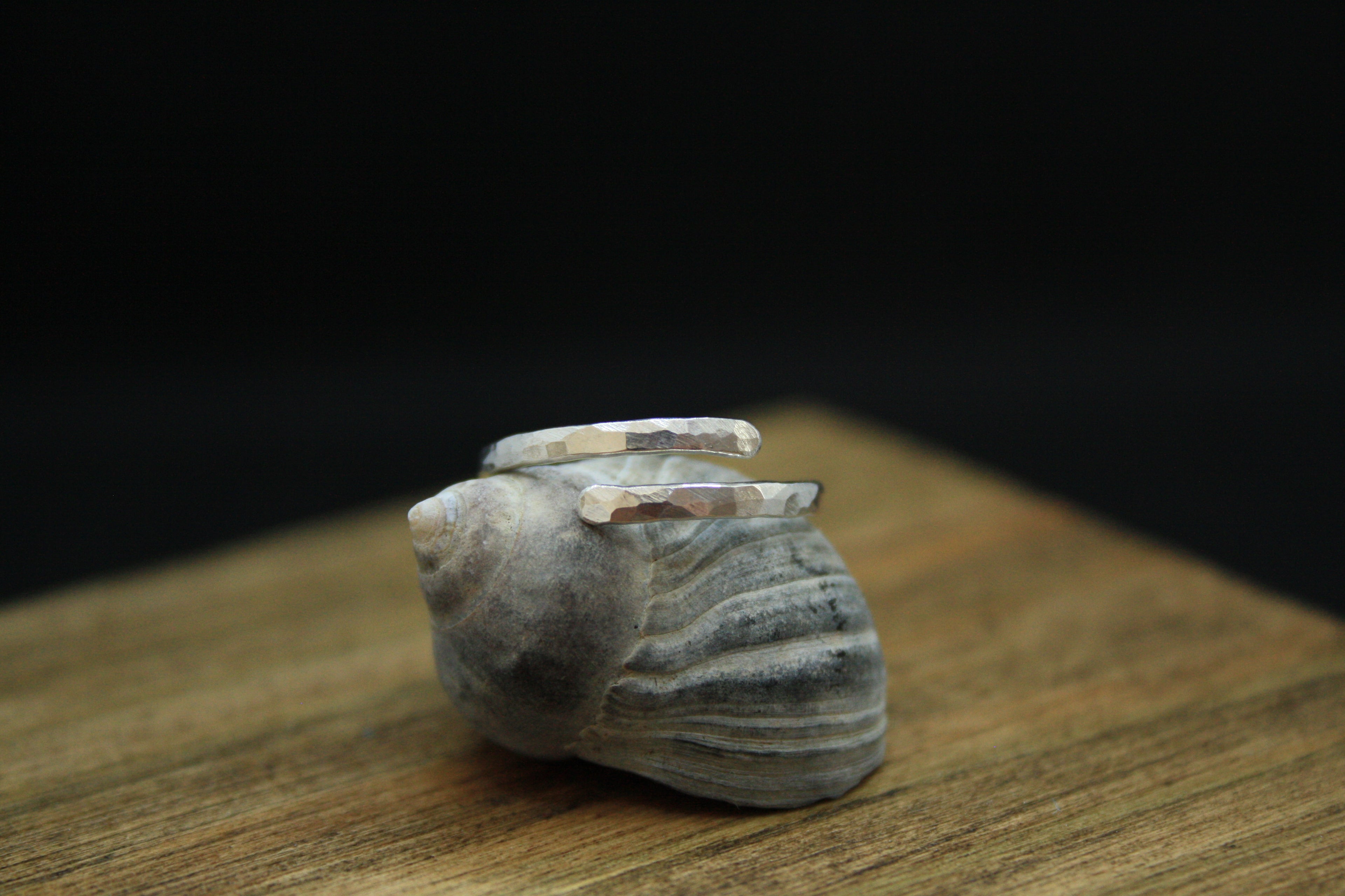 LUNA Adjustable Textured Ring