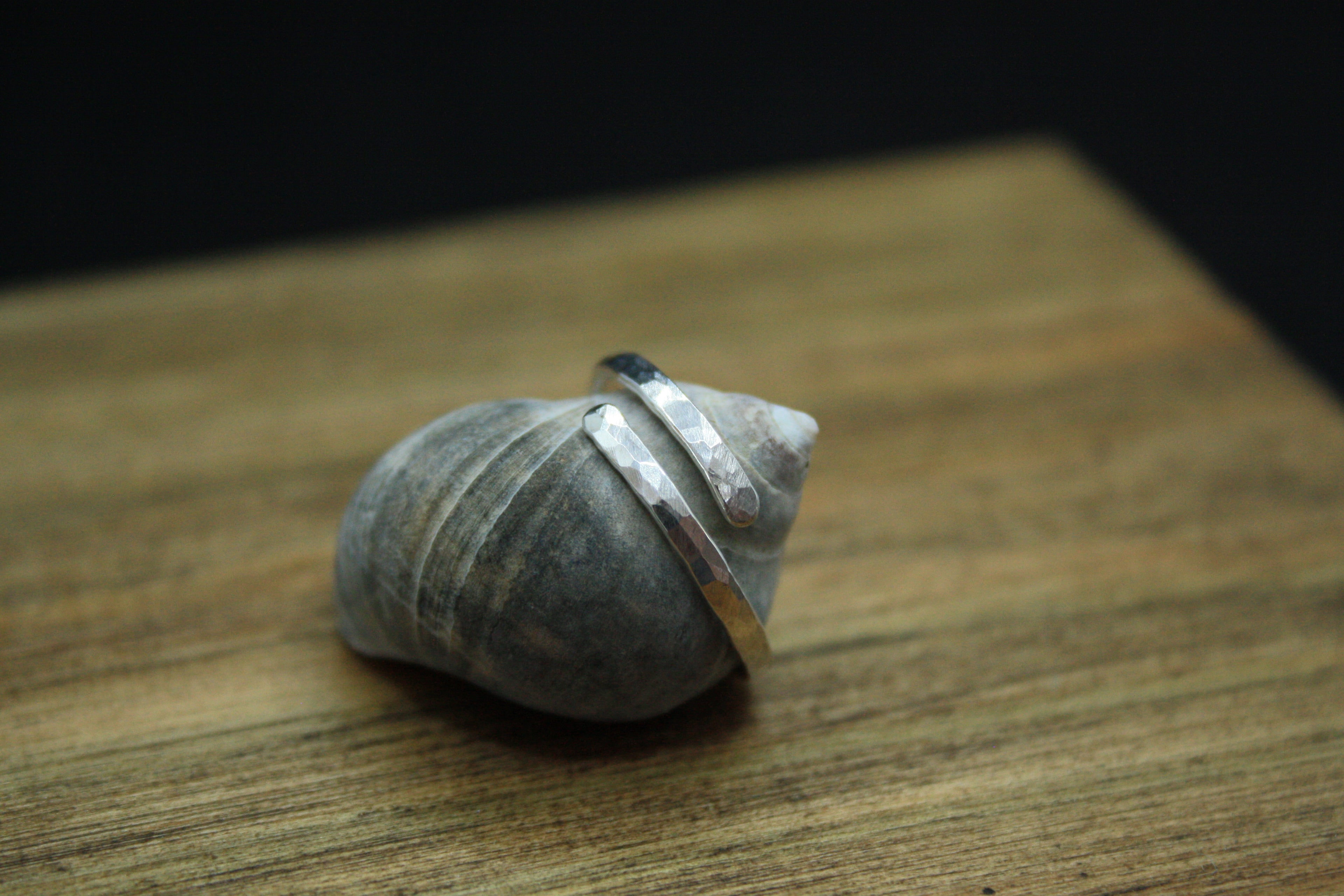 LUNA Adjustable Textured Ring