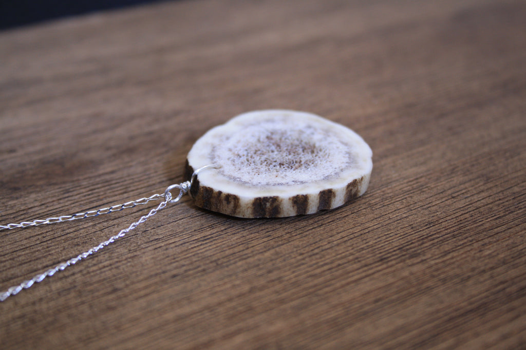 Deer Antler Slice Pendant