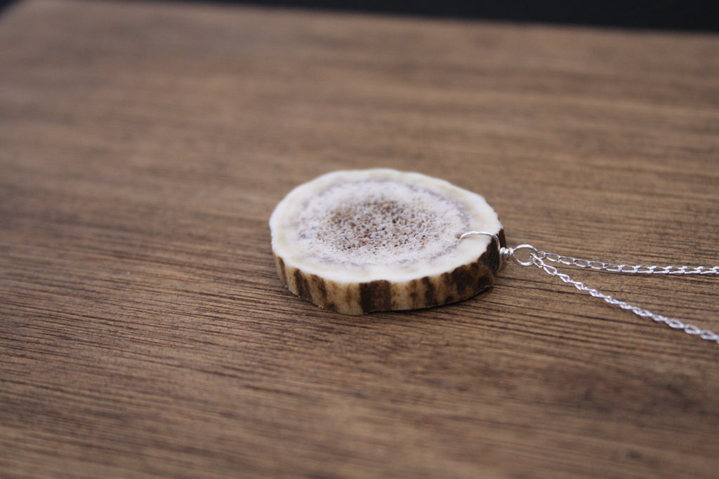 Deer Antler Slice Pendant