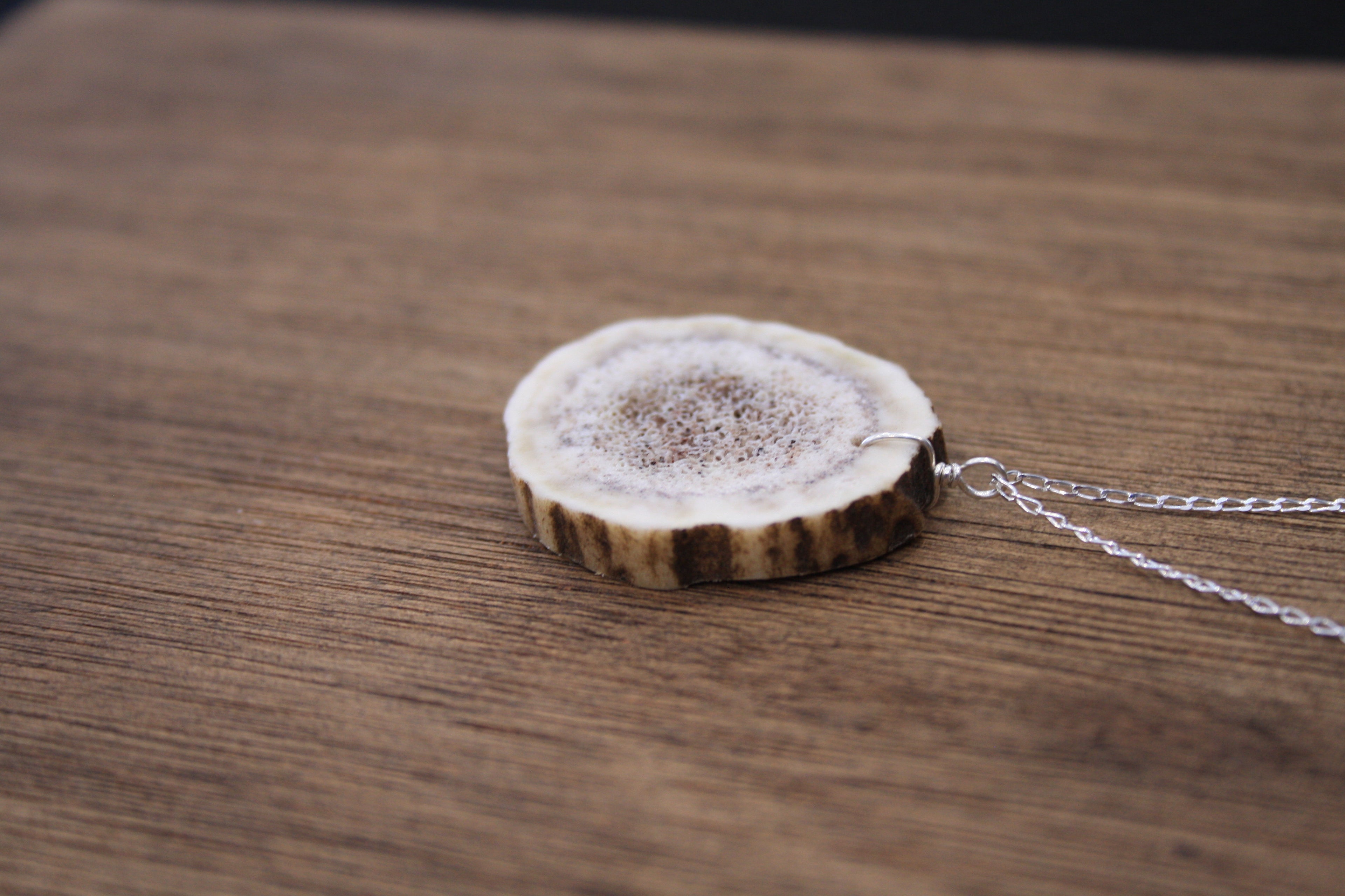 Deer Antler Slice Pendant