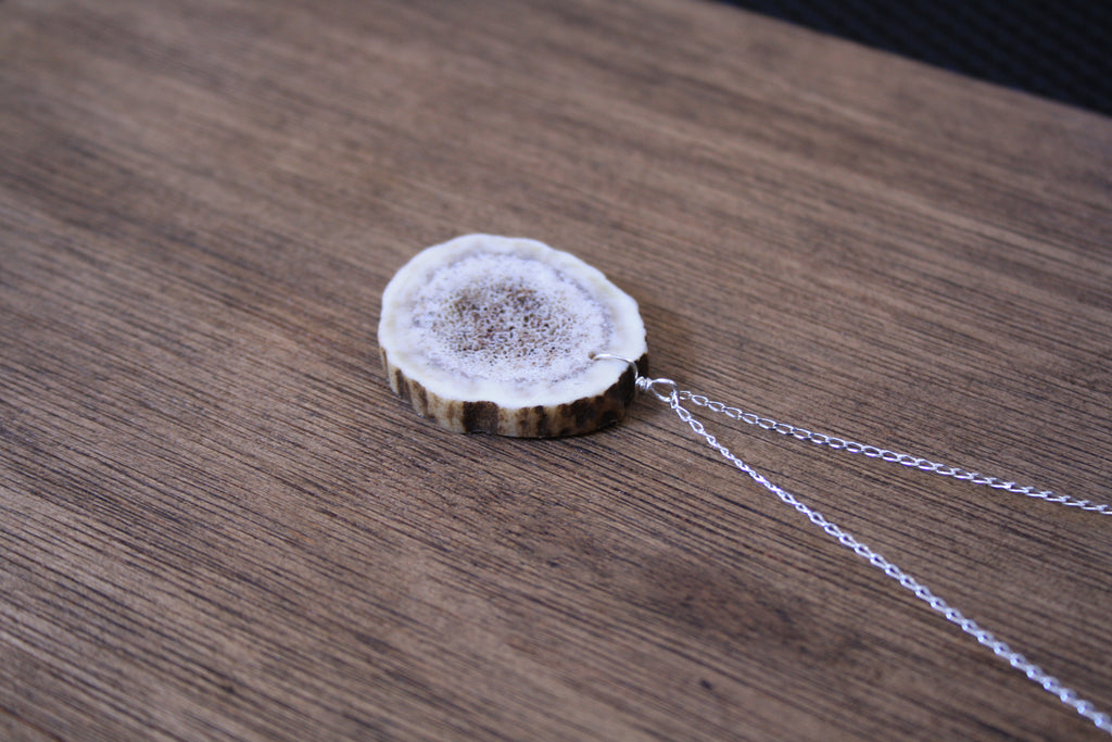 Deer Antler Slice Pendant