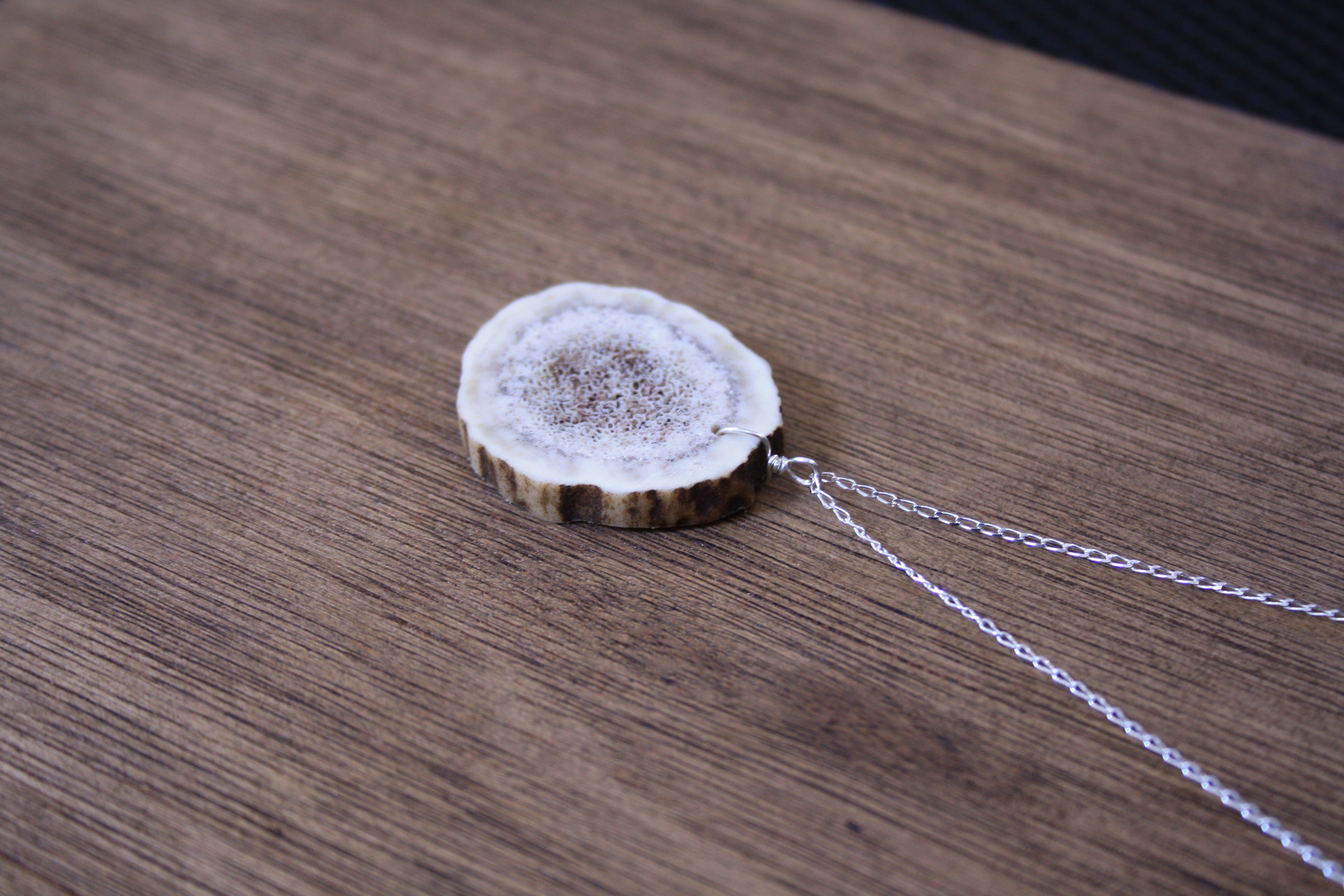 Deer Antler Slice Pendant