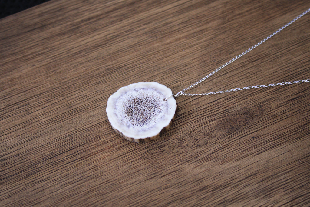 Deer Antler Slice Pendant