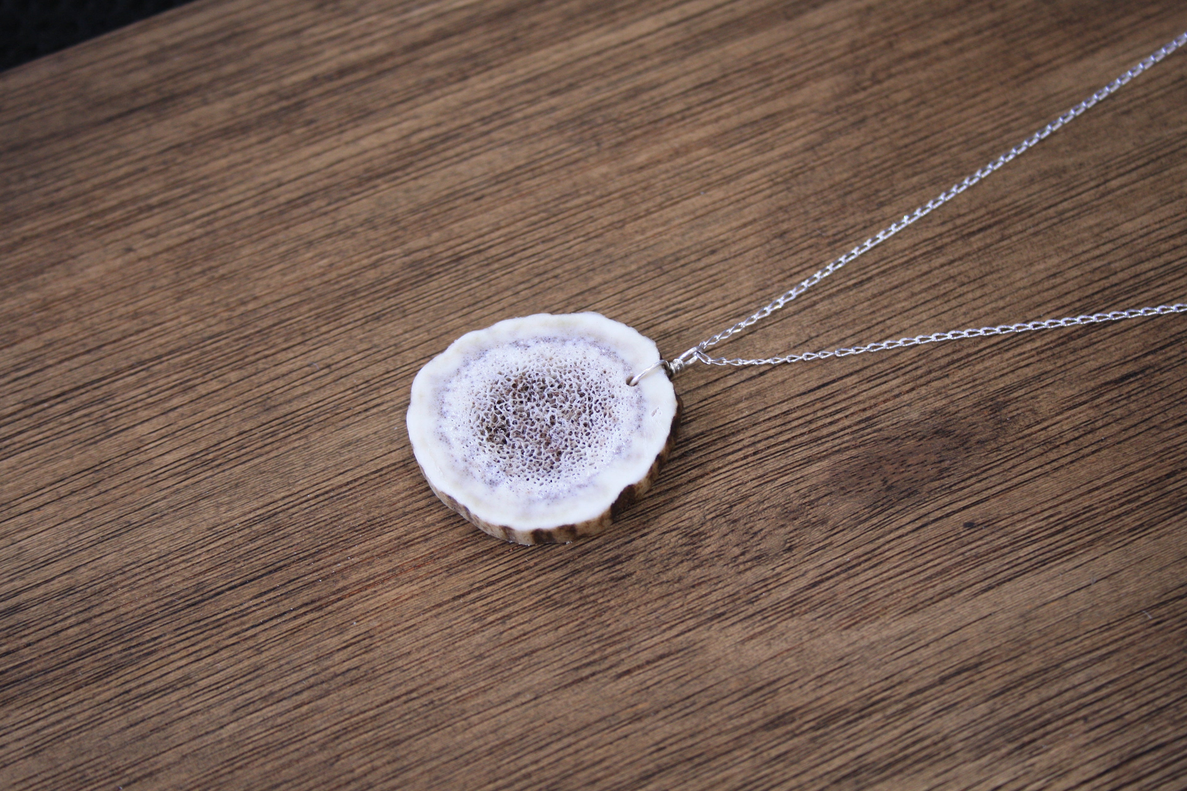 Deer Antler Slice Pendant