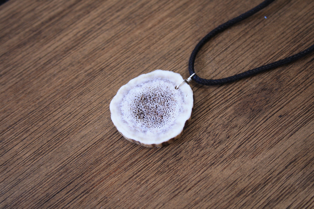 Deer Antler Slice Pendant