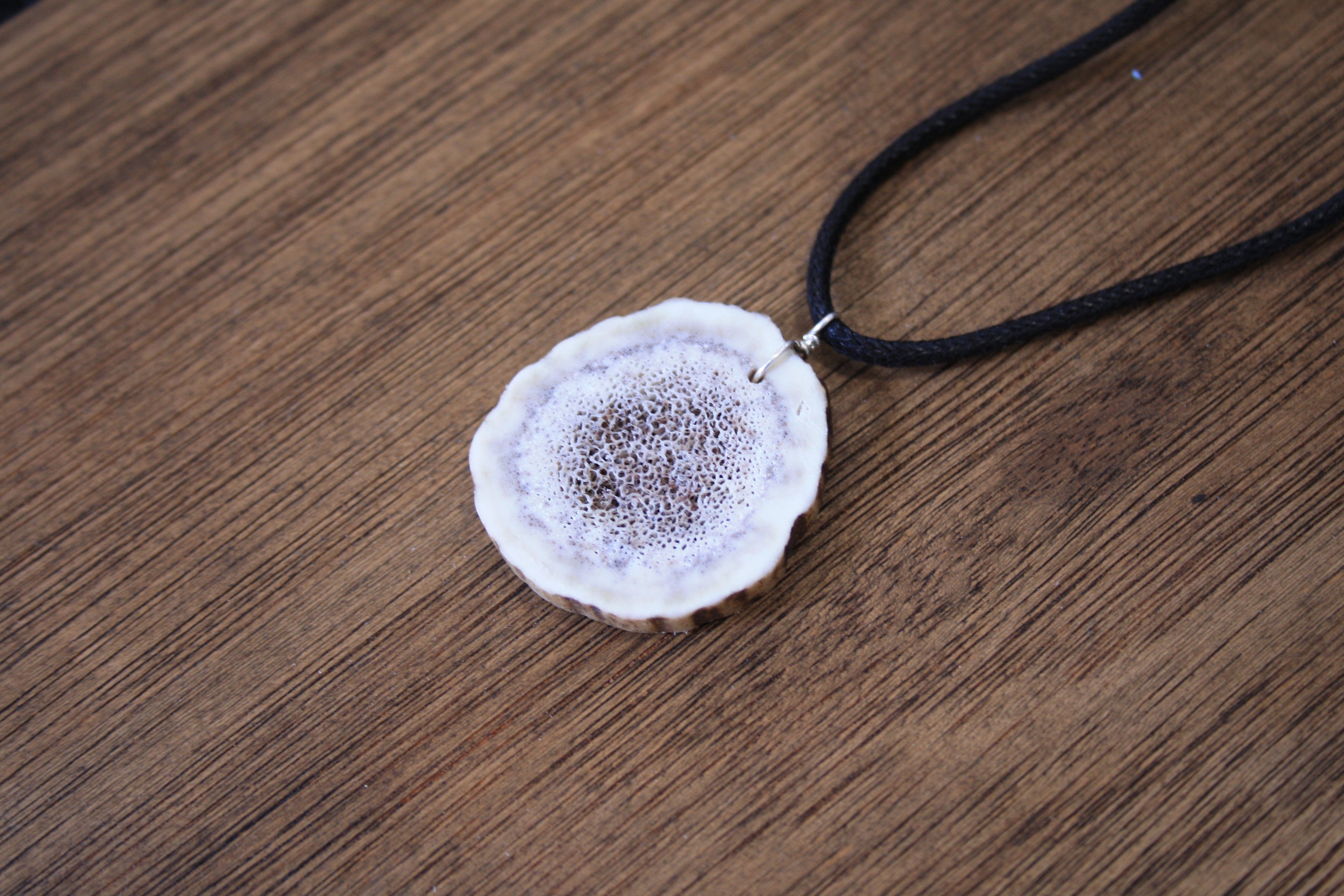 Deer Antler Slice Pendant