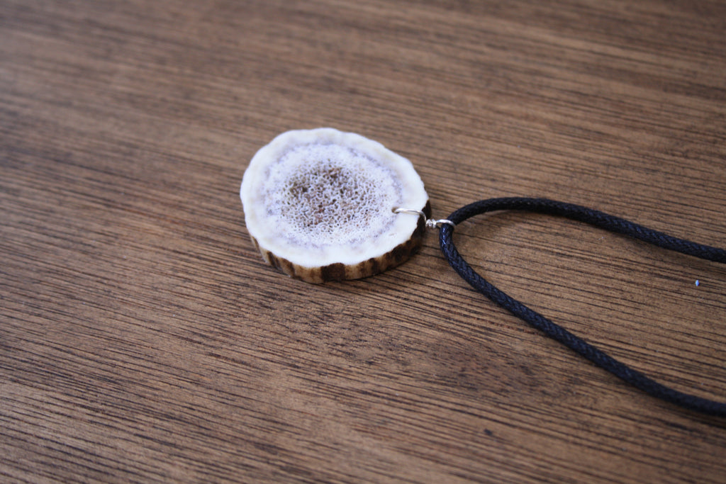 Deer Antler Slice Pendant