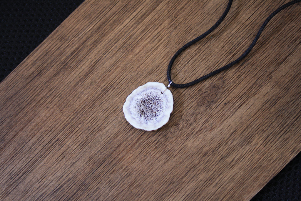 Deer Antler Slice Pendant