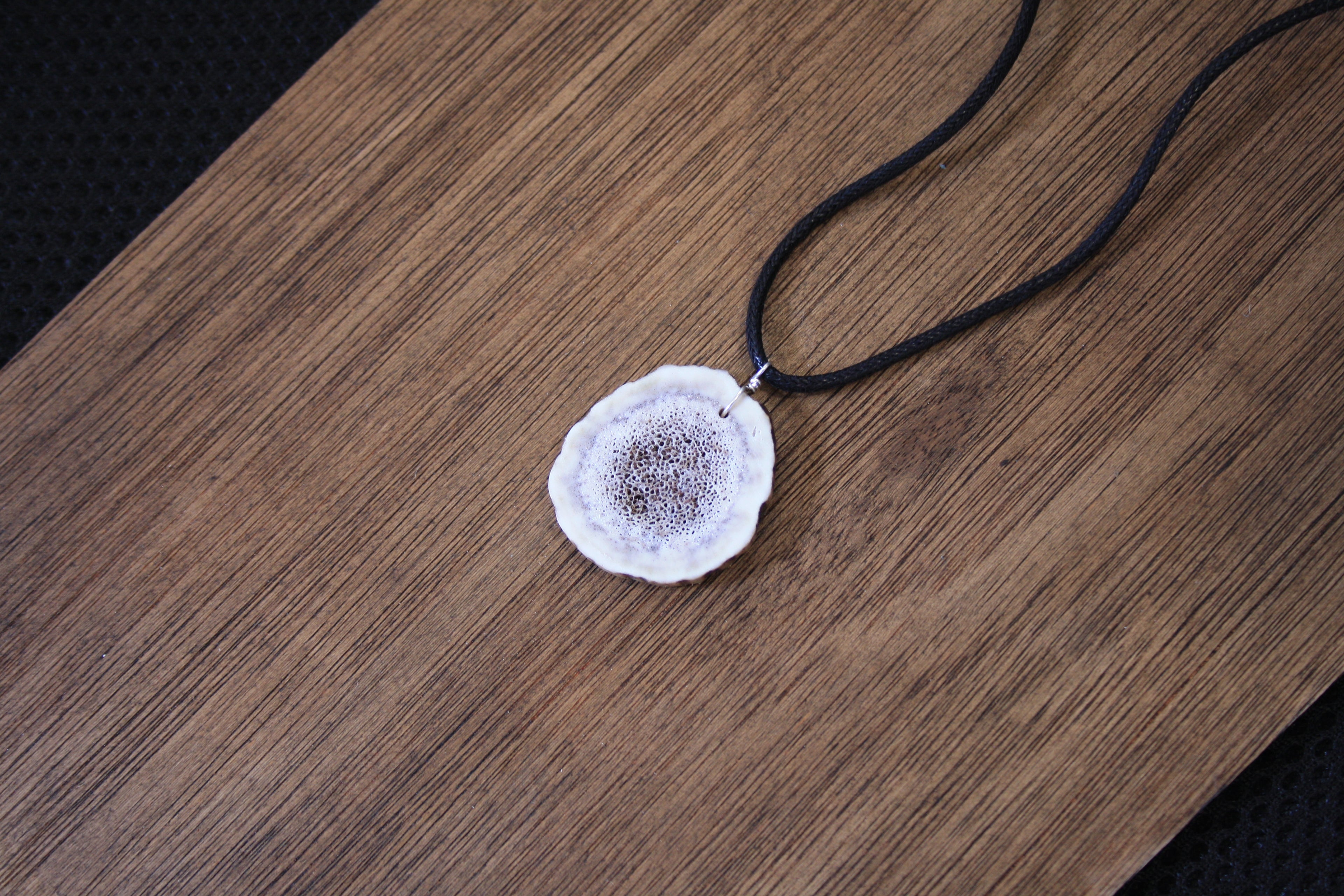 Deer Antler Slice Pendant