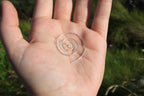 Delicate Swirl Earrings