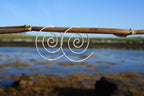 Delicate Swirl Earrings