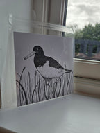 Oystercatcher Pen and Ink Drawing Print