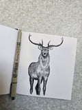 North Uist Red Deer Print (Pre Order)