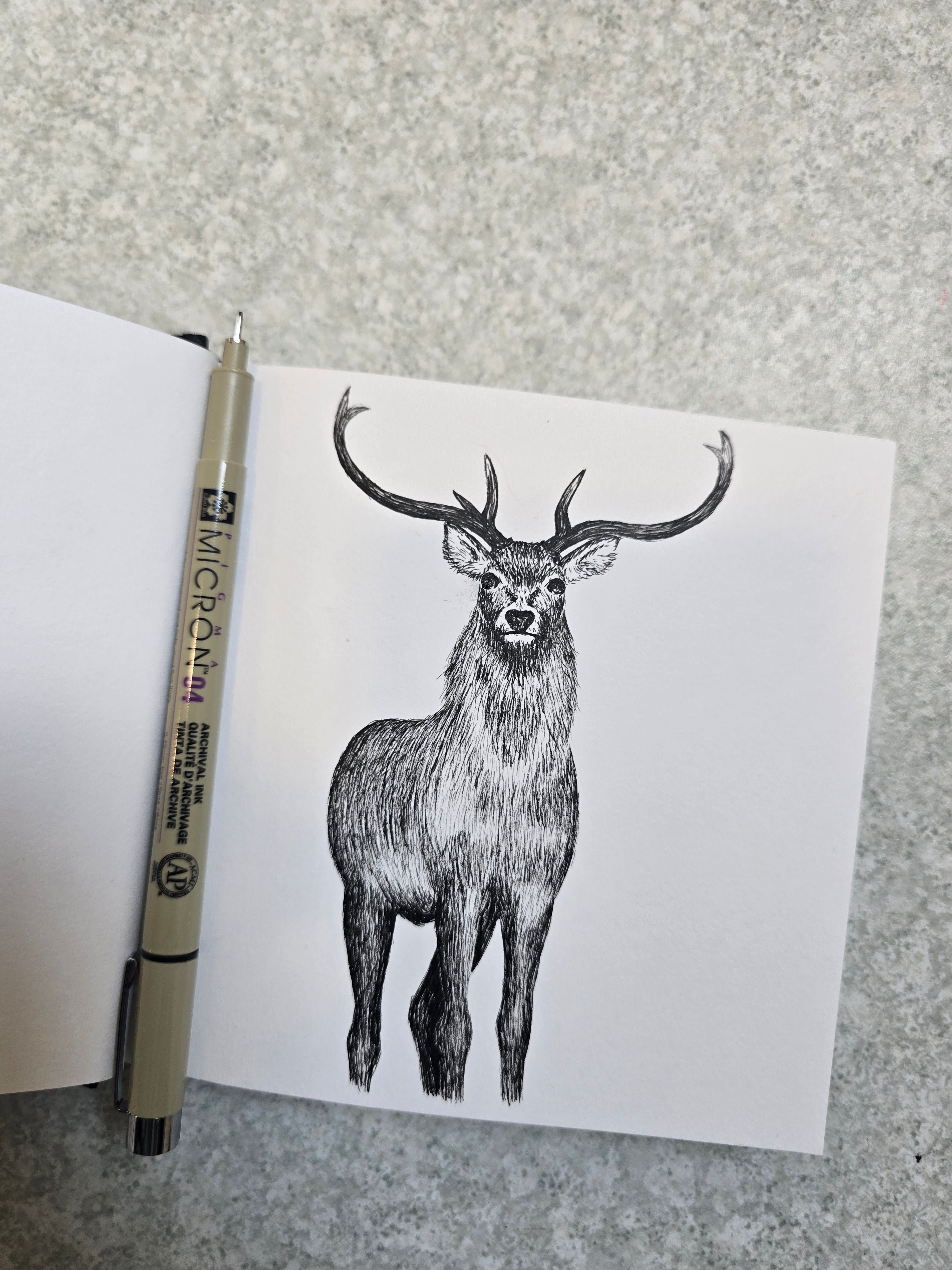 North Uist Red Deer Print (Pre Order)