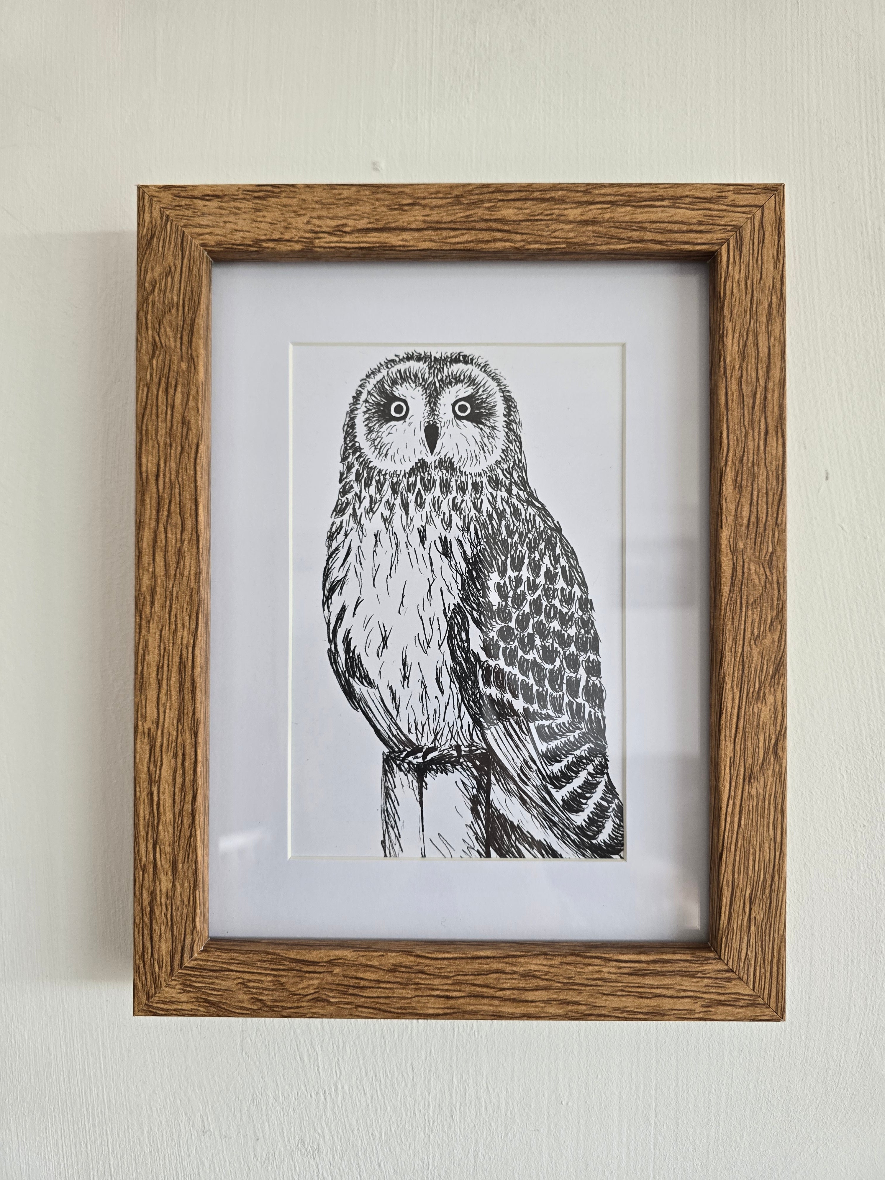 Short Eared Owl Pen and Ink Drawing