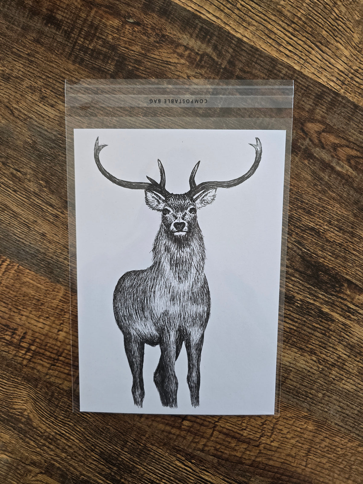 North Uist Red Deer Print (Pre Order)