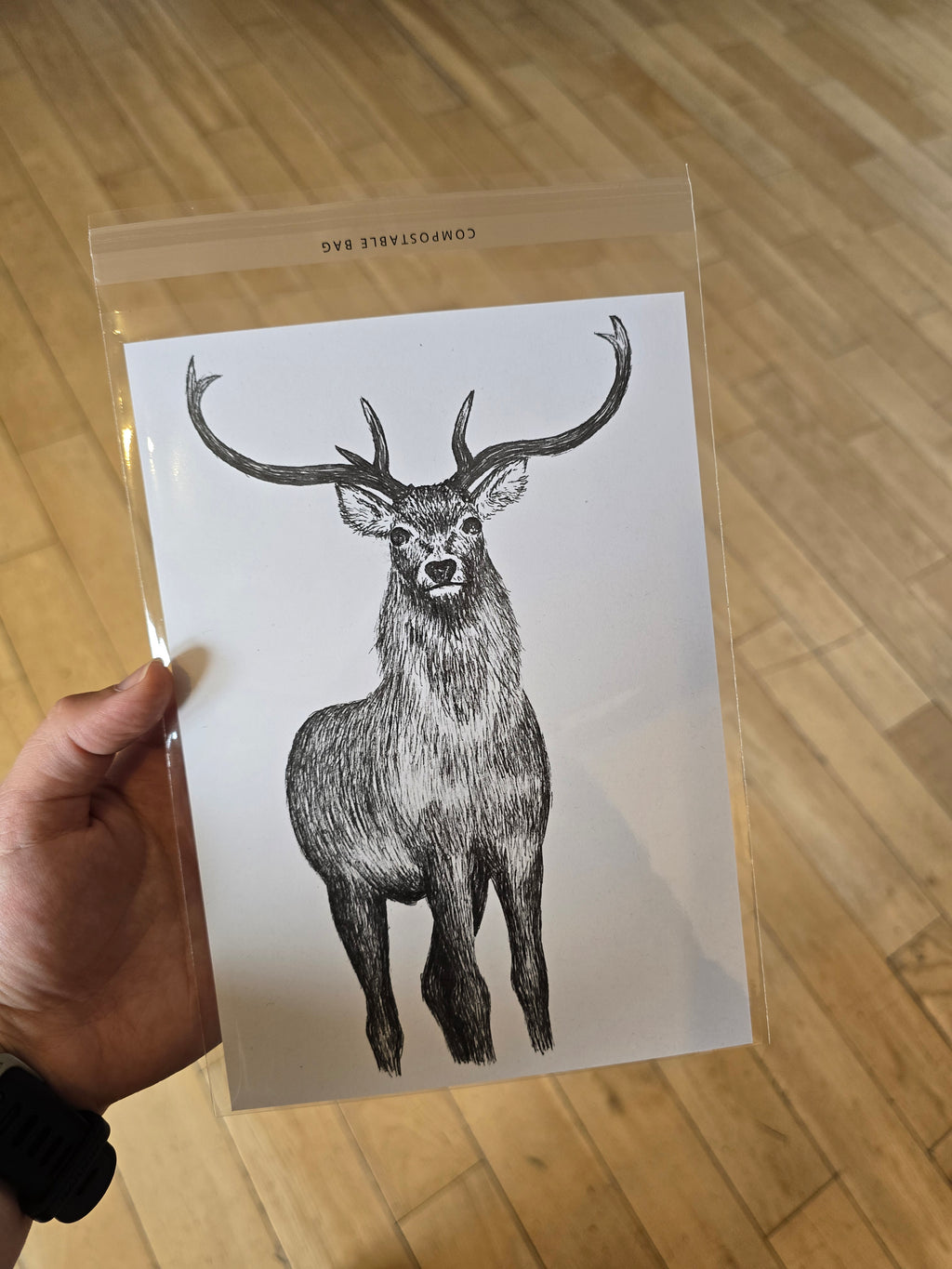North Uist Red Deer Print (Pre Order)