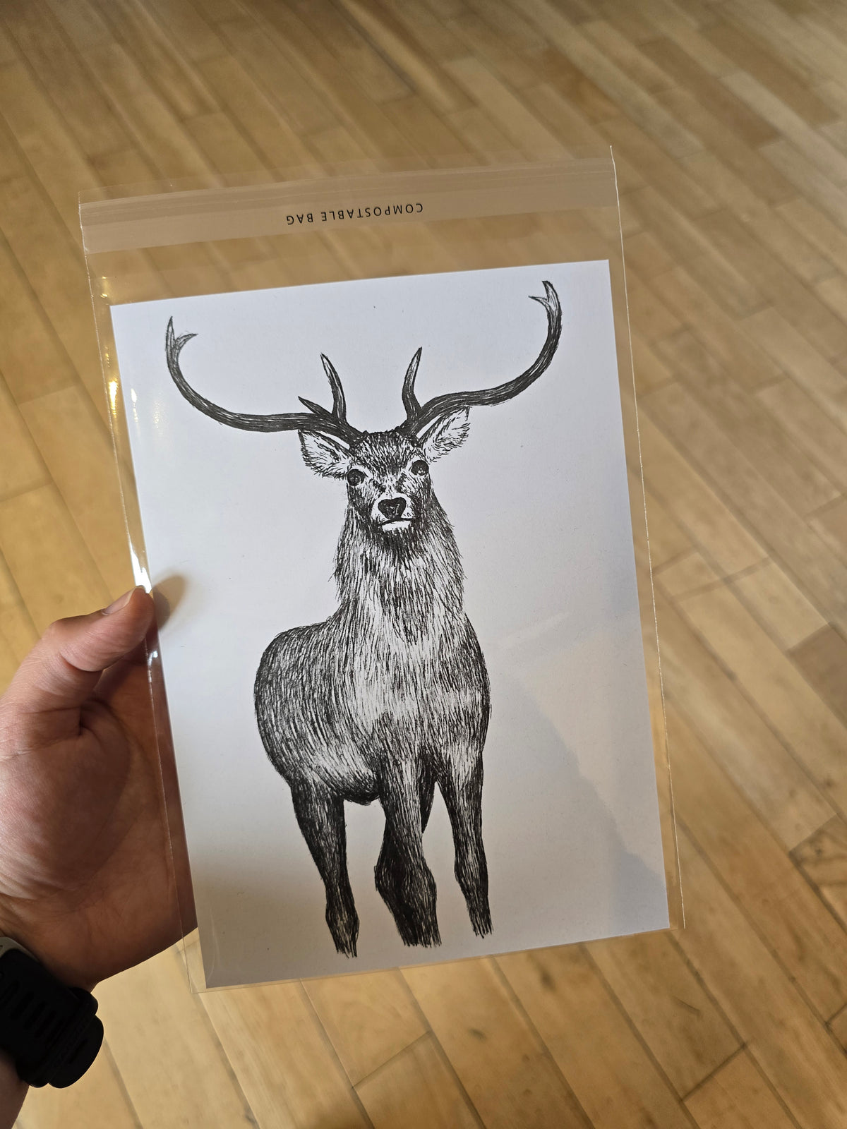 North Uist Red Deer Print (Pre Order)
