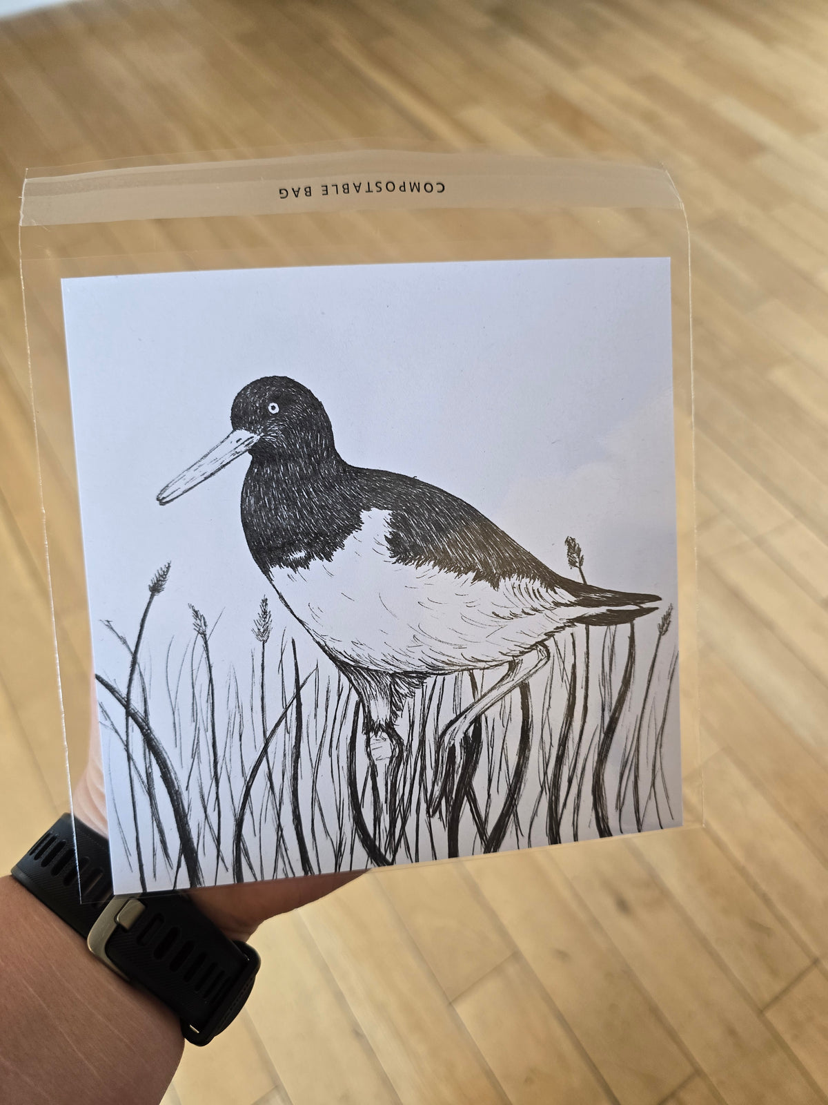 Oystercatcher Pen and Ink Drawing Print